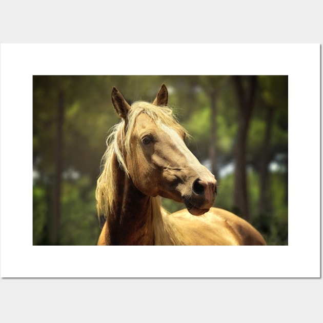 Horse in Sun Spot Wall Art by kawaii_shop